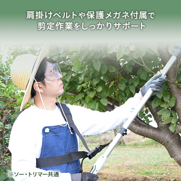 山善（YAMAZEN） 電池パック1個増量中 10.8V コードレス 4WAY高枝