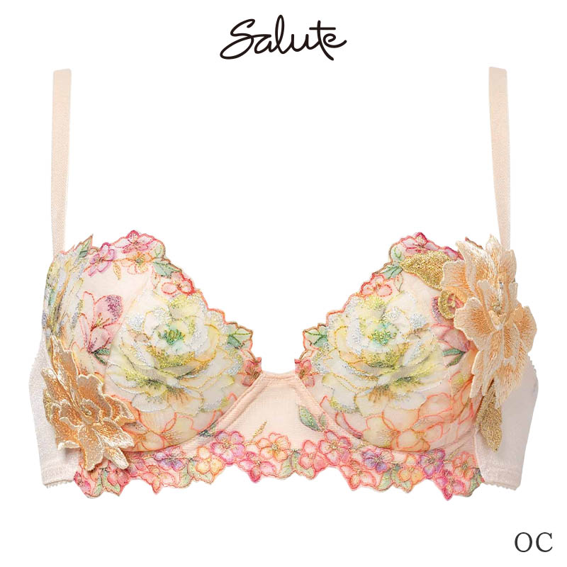サルート（SALUTE） Salute 21グループ ワコール ブラジャー 3/4カップ