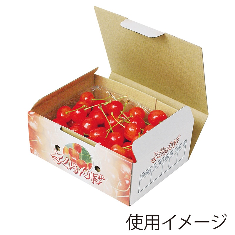 ヤマニパッケージ さくらんぼ箱 500gパック×1P もぎたて ARL-11 50枚