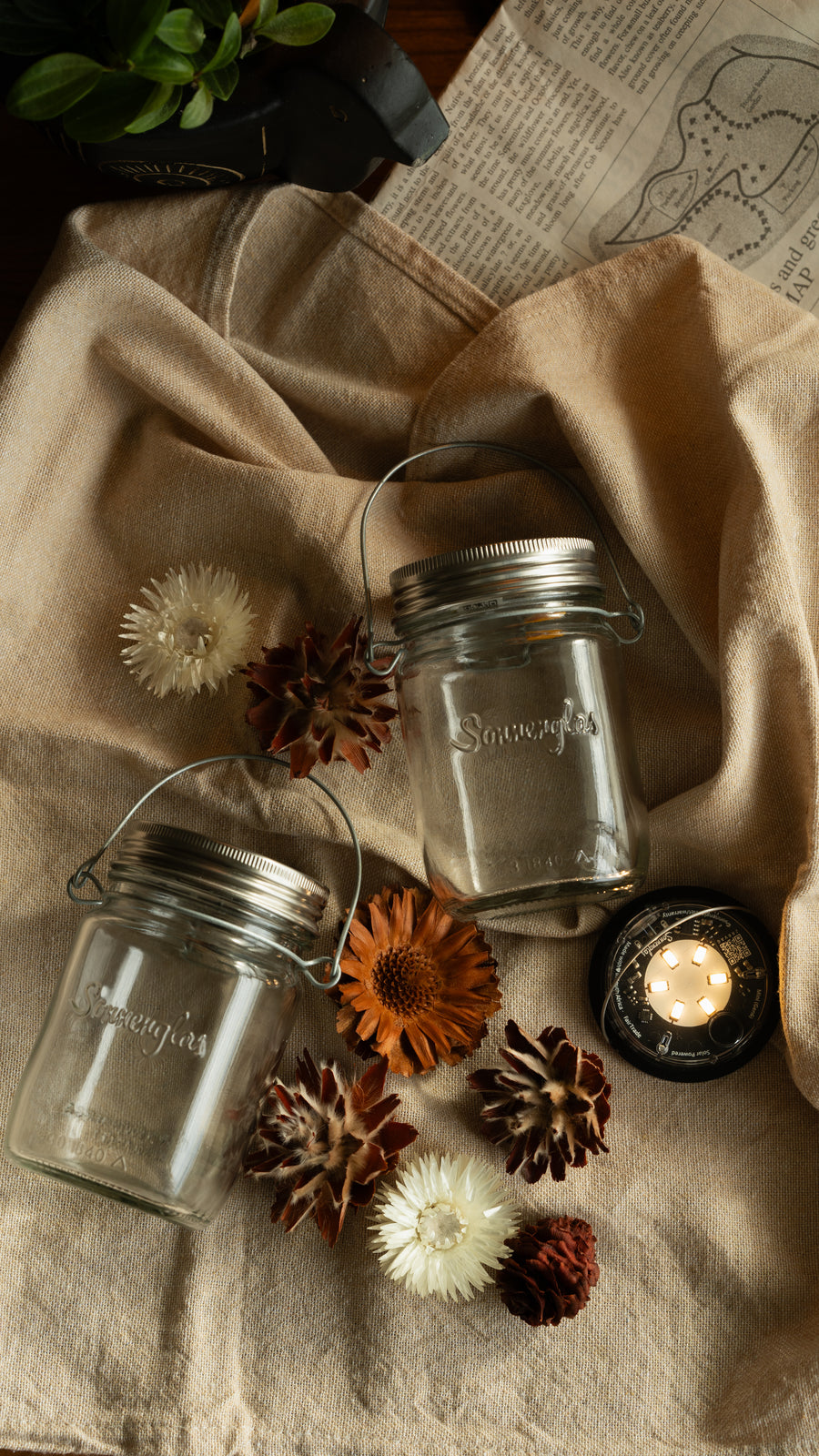 ギフトラッピング】ソネングラス®︎ Generation 6 クラシック – ソネン