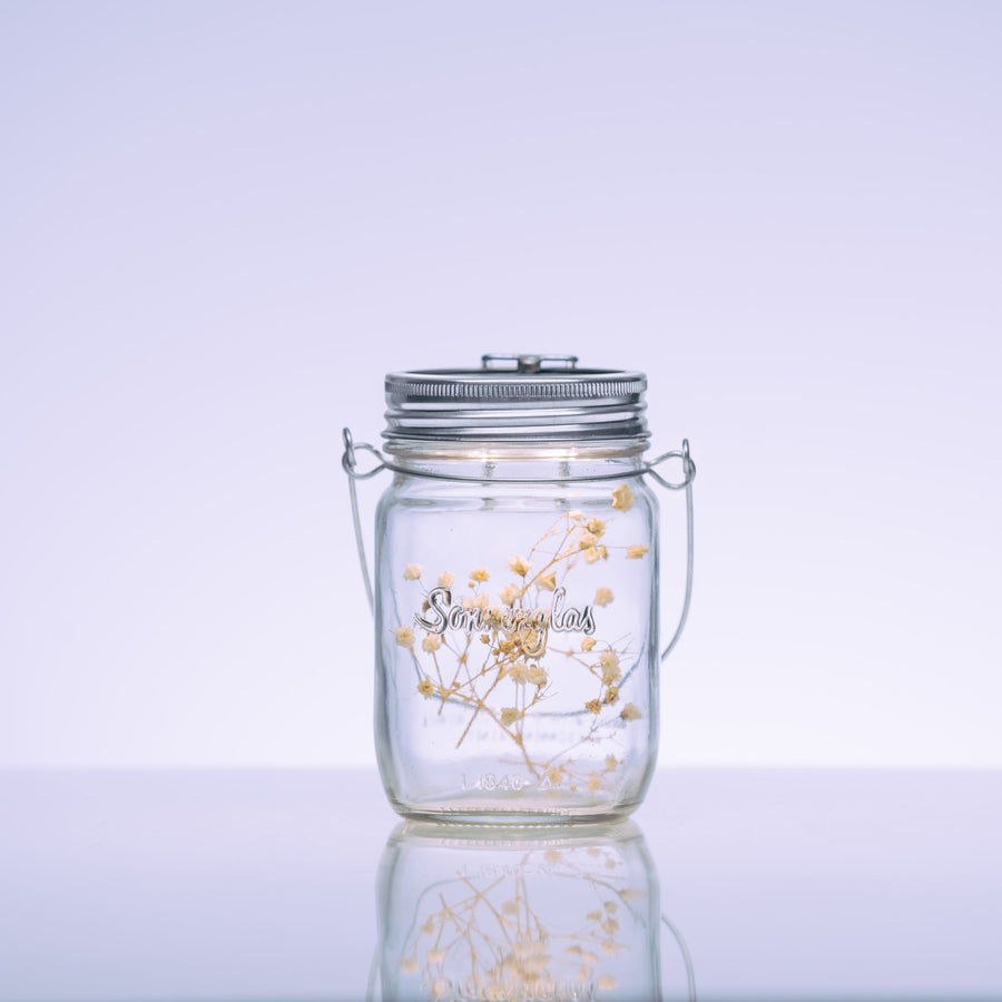 Sonnenglas®︎ ミニ Generation 6 – ソネングラスジャパン公式ウェブサイト