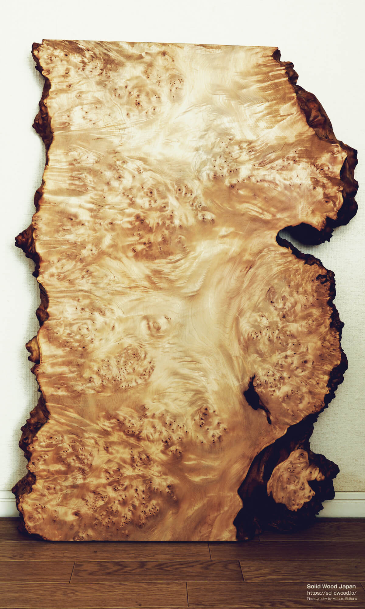 トチコブモク（栃瘤杢）の一枚板 | 無垢材とは | 一枚板比較