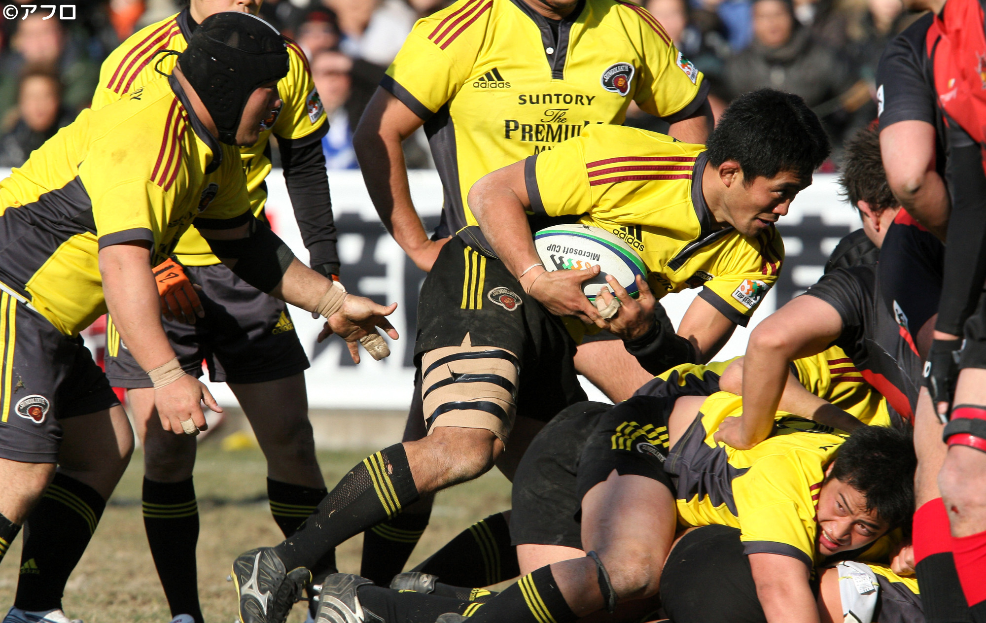 日本大学ラグビー部移動着限界価格 日本大学ラグビー部移動着限界価格