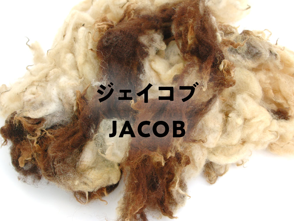 ジェイコブの話 – SPIN HOUSE PONTA.