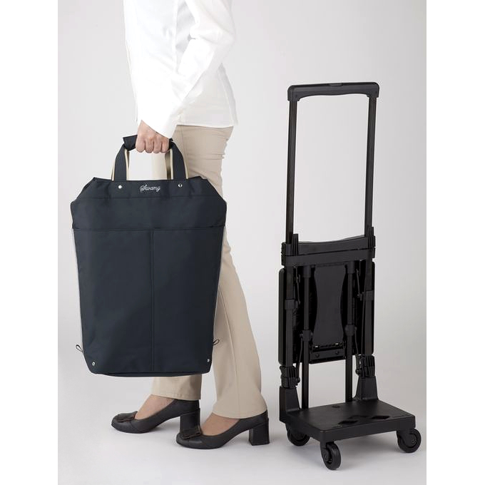 D-639 プレーネ 座面付 (L21) オリーヴ| キャリーバッグは信頼のスワニー