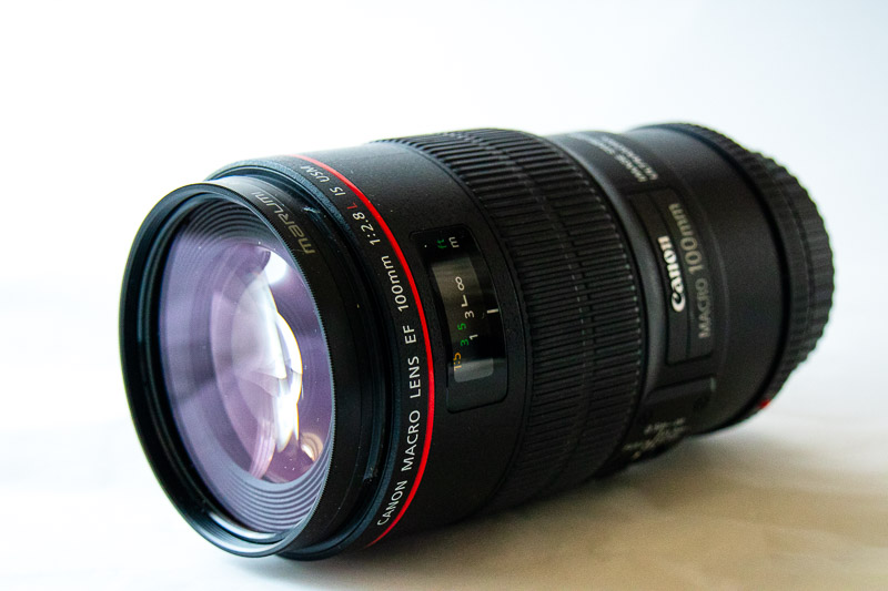 キヤノンEF100mmF2.8マクロレンズIS USM【使用レビュー】シャープな