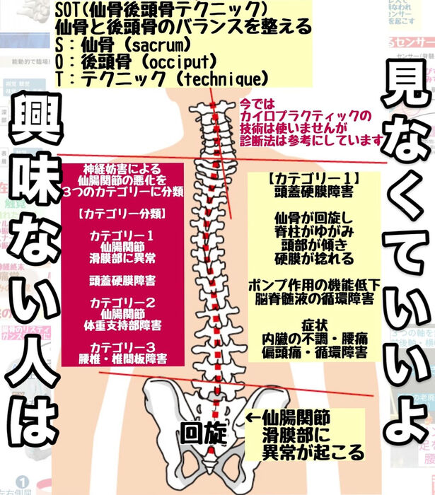 仙骨と後頭骨のバランスを整える“SOTテクニック”とは？】 | ブログ