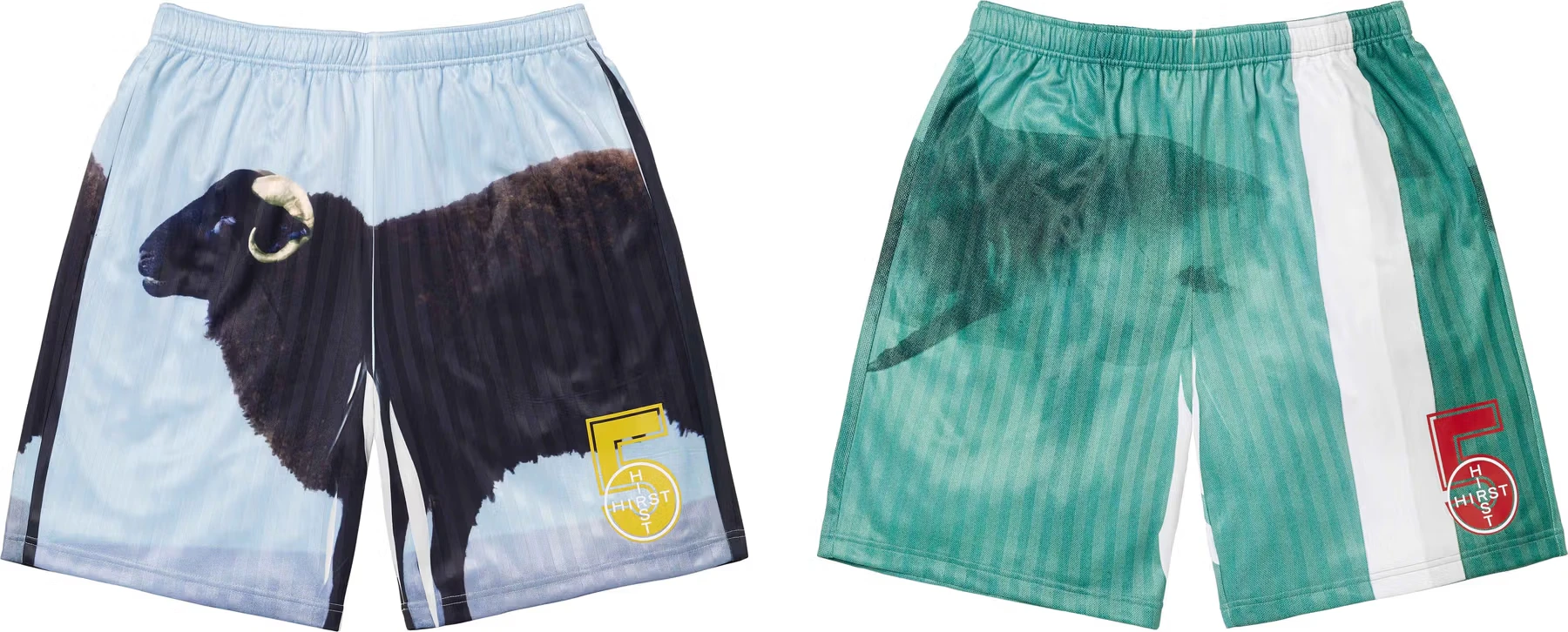 Supreme/Damien Hirst Soccer Short | Supreme 25ss