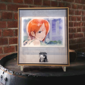 ワンピース】25 Eternal Shots プレミアムアクリルアートフレーム 22