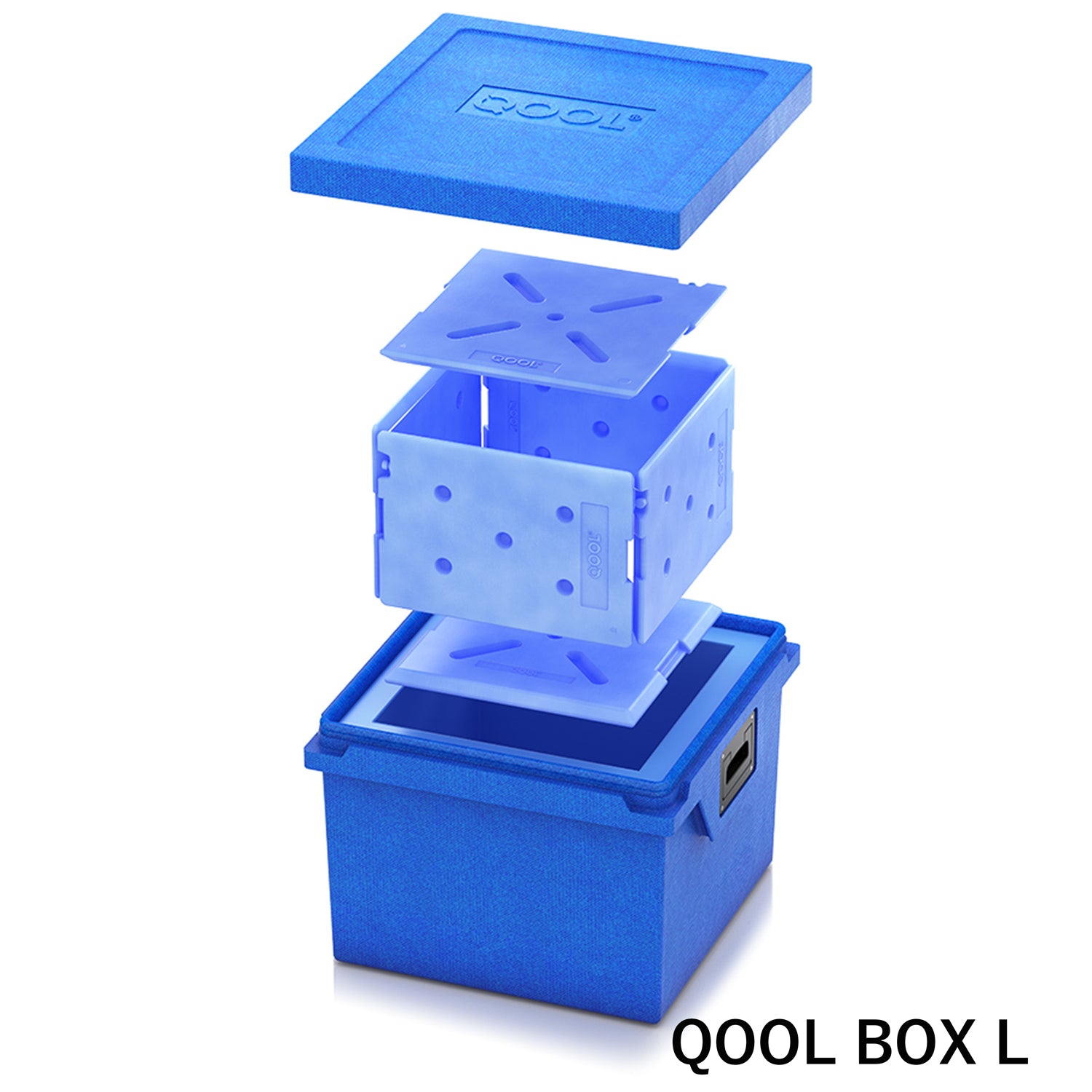 QOOL ELEMENT L / クール エレメント L│ UPI ONLINE STORE