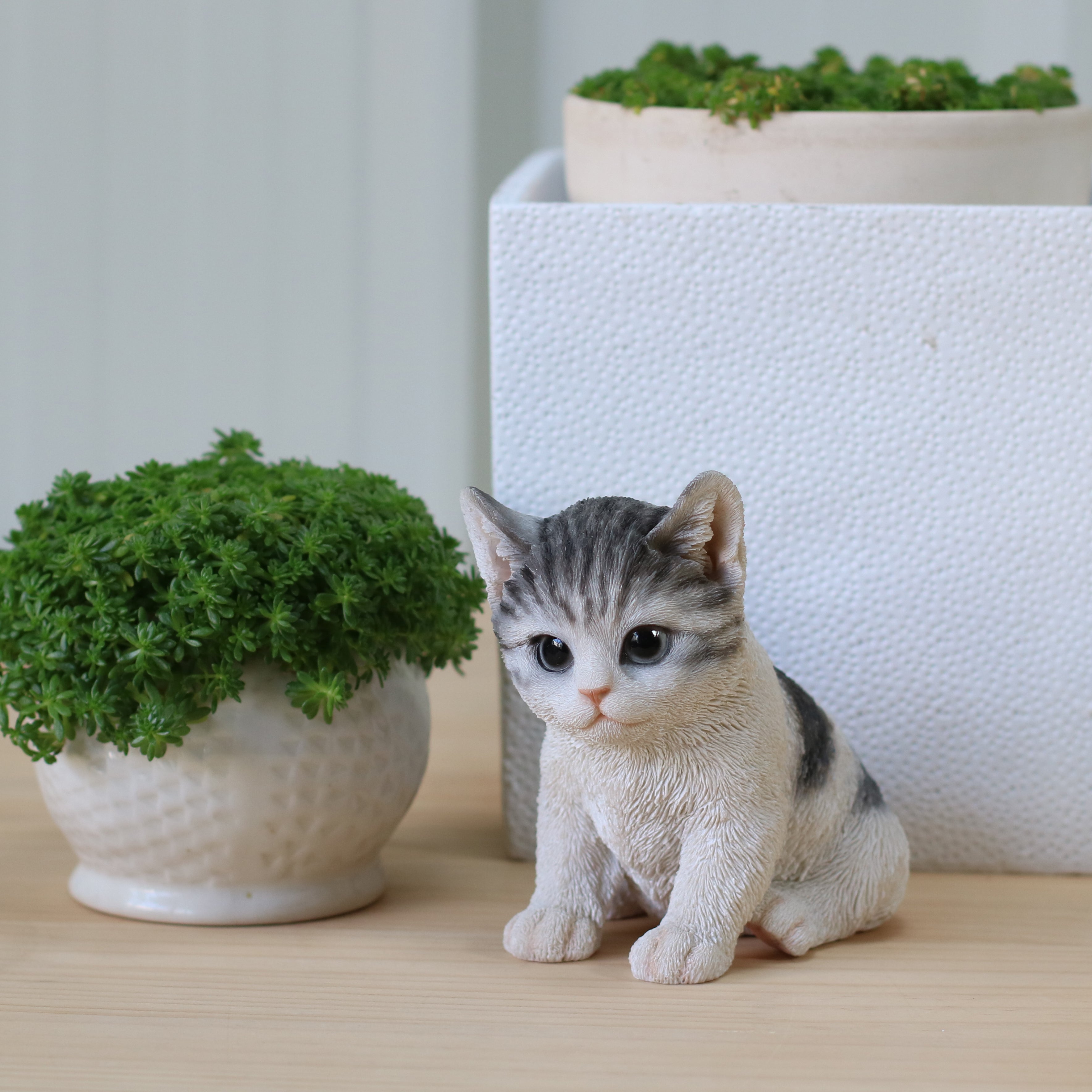 H20594-16.jpg?v=1740375323&