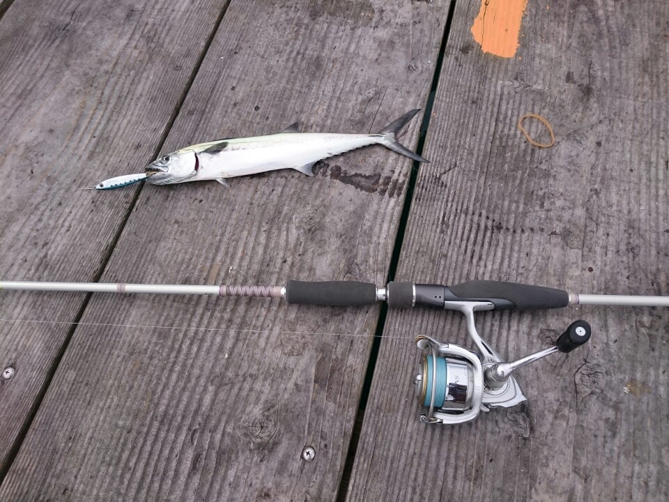 ダイワ☆HEARTLAND-Z HL762MMLFS-08 白震斬♪ | 患者deニート