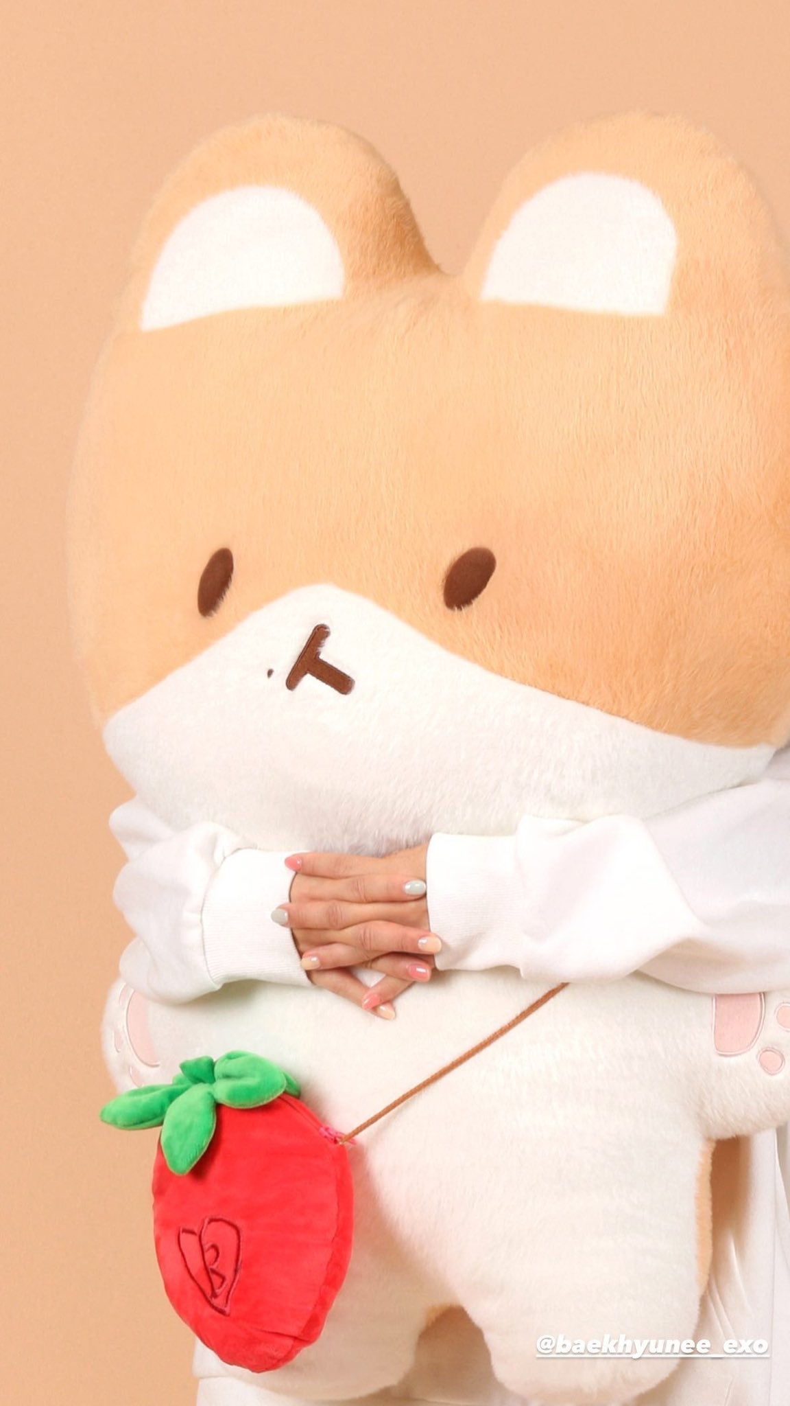 EXOベッキョンブランド”トレギ”続報…さすが天才べくちゃん！な展開