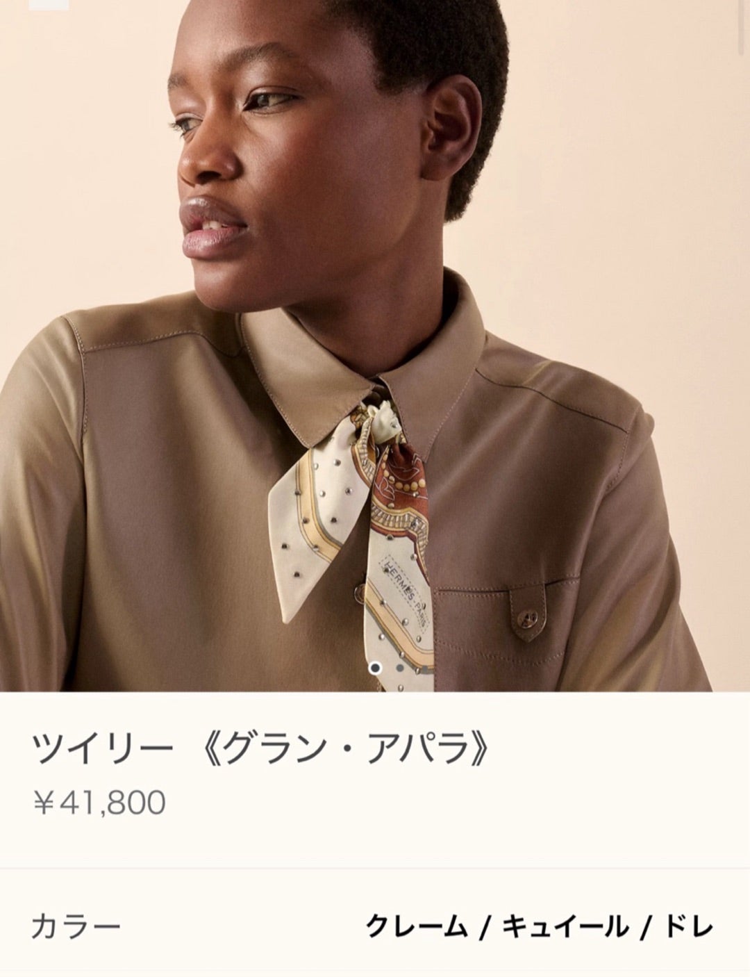 一目惚れしたエルメス 2024AW 限定スタッズ付きツイリー | ゆきこ：1