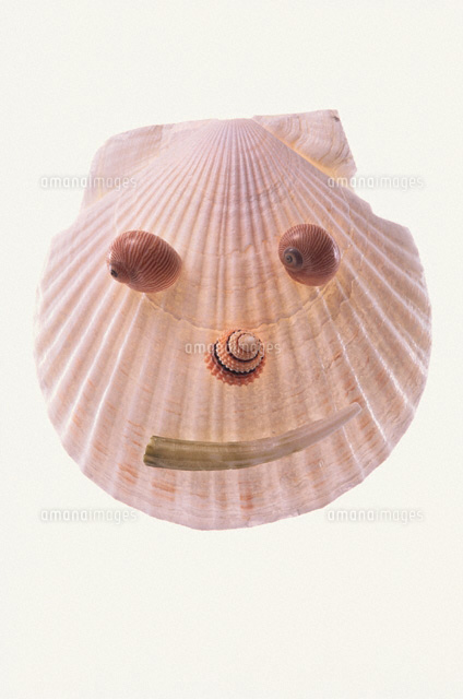 貝で作った顔[00677000009]の写真・イラスト素材｜アマナイメージズ