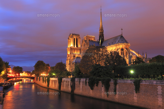 ノートルダム大聖堂とセーヌ川の夜景[10769001813]の写真・イラスト