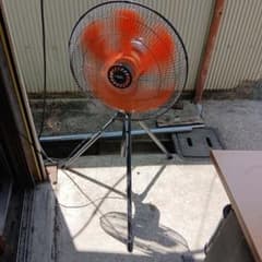 m11086539009_1.jpg?1750384972