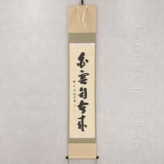 藤井誠堂「白雲自去来」茶掛一行書 掛軸 大徳寺515世管長 三玄院住職