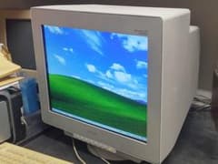 m46877158071_1.jpg?1741364752