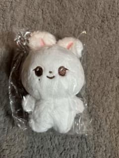 SEVENTEEN ジョンハン ぬいぐるみ マスター - メルカリ