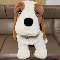 m66734162568_1.jpg?1702766322