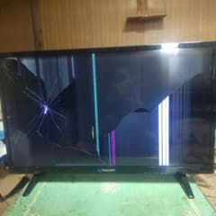 m60700404171_1.jpg?1712738464