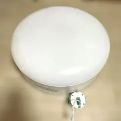 2026年最新】popin aladdin ドット抜けの人気アイテム - メルカリ