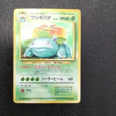 m29801005137_1.jpg?1767414342