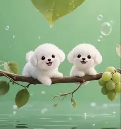 2026年最新】フェアライアーの人気アイテム - メルカリ