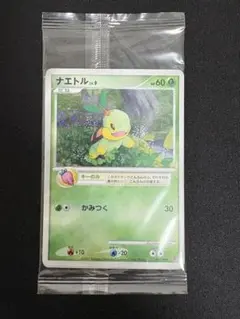 2026年最新】ナエトル プレイヤーズの人気アイテム - メルカリ