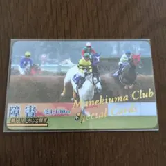 2026年最新】まねき馬 spの人気アイテム - メルカリ