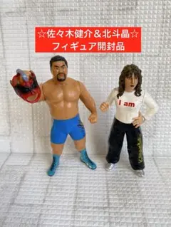 2026年最新】佐々木健介の人気アイテム - メルカリ