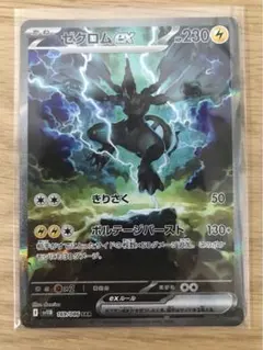 2026年最新】ゼクロムex SARの人気アイテム - メルカリ