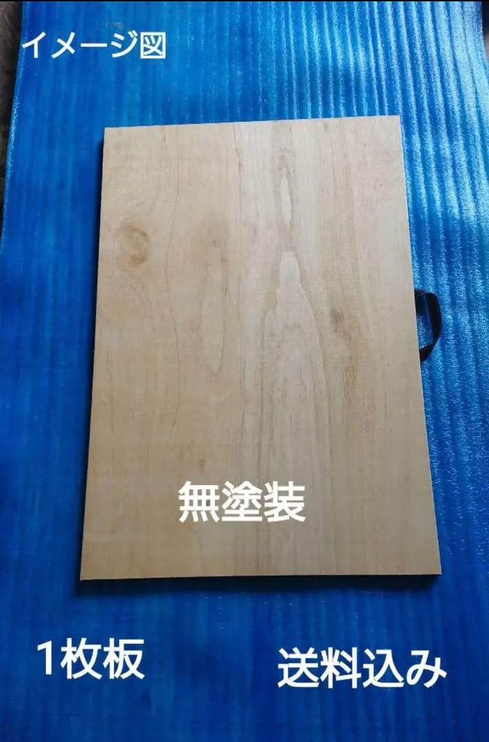 m16194423699_1.jpg?1771328571