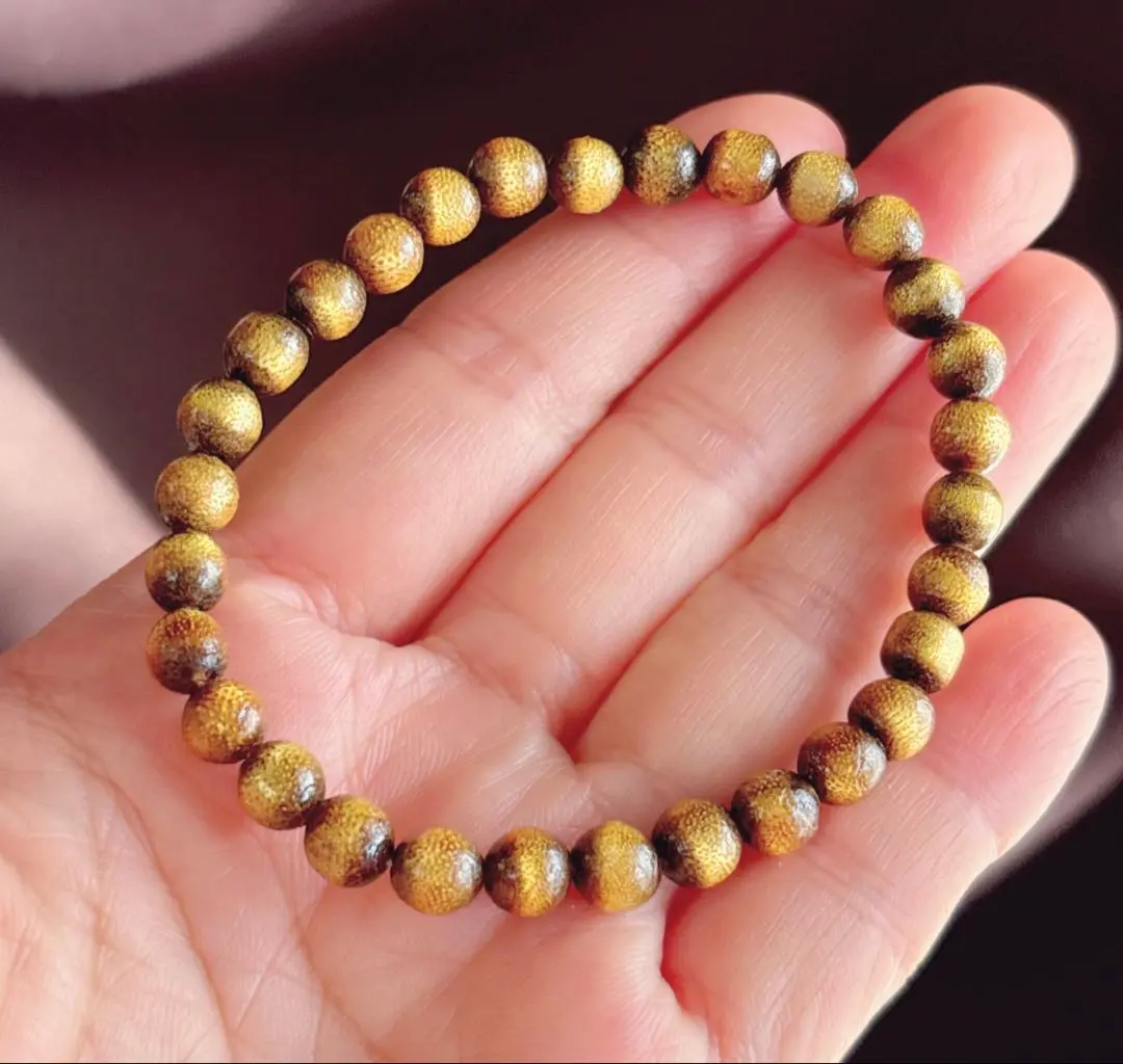 2026年最新】金糸海柳の人気アイテム - メルカリ