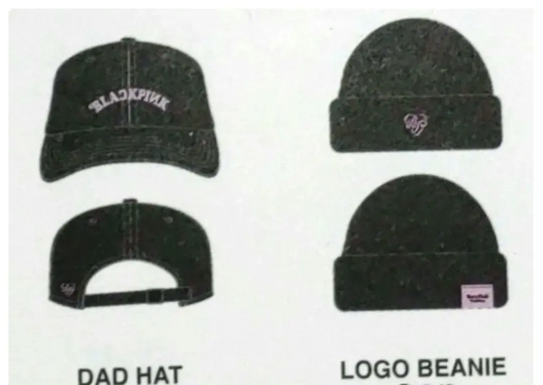 2026年最新】Verdy blackpink capの人気アイテム - メルカリ