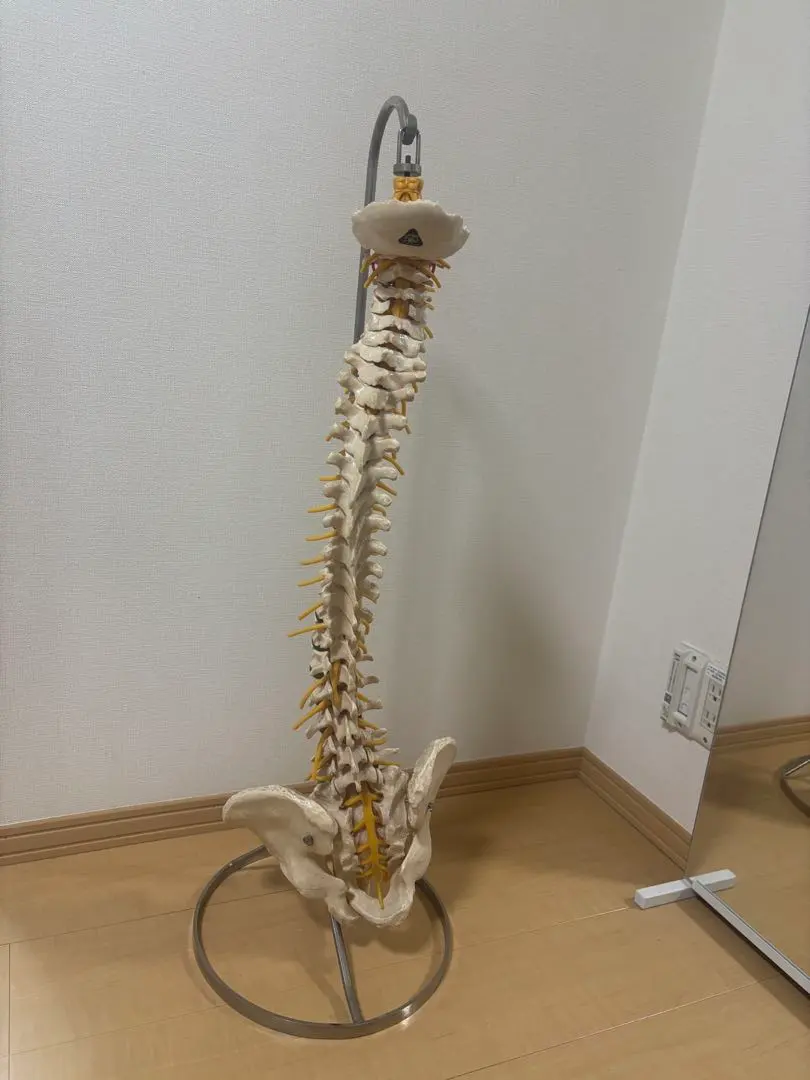 2026年最新】ソムソ 模型の人気アイテム - メルカリ