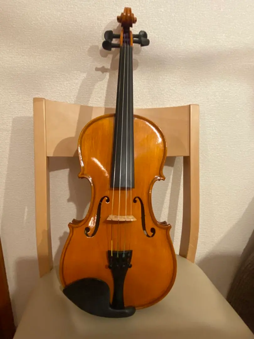 2026年最新】バイオリン GLIGAの人気アイテム - メルカリ