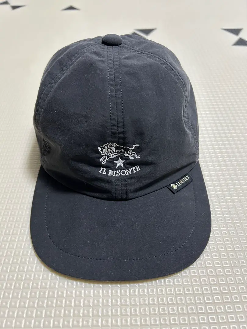 2026年最新】イルビゾンテ ミズノ キャップの人気アイテム - メルカリ