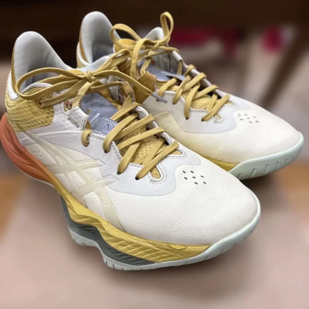 2026年最新】nova surge low 2 ballaholicの人気アイテム - メルカリ