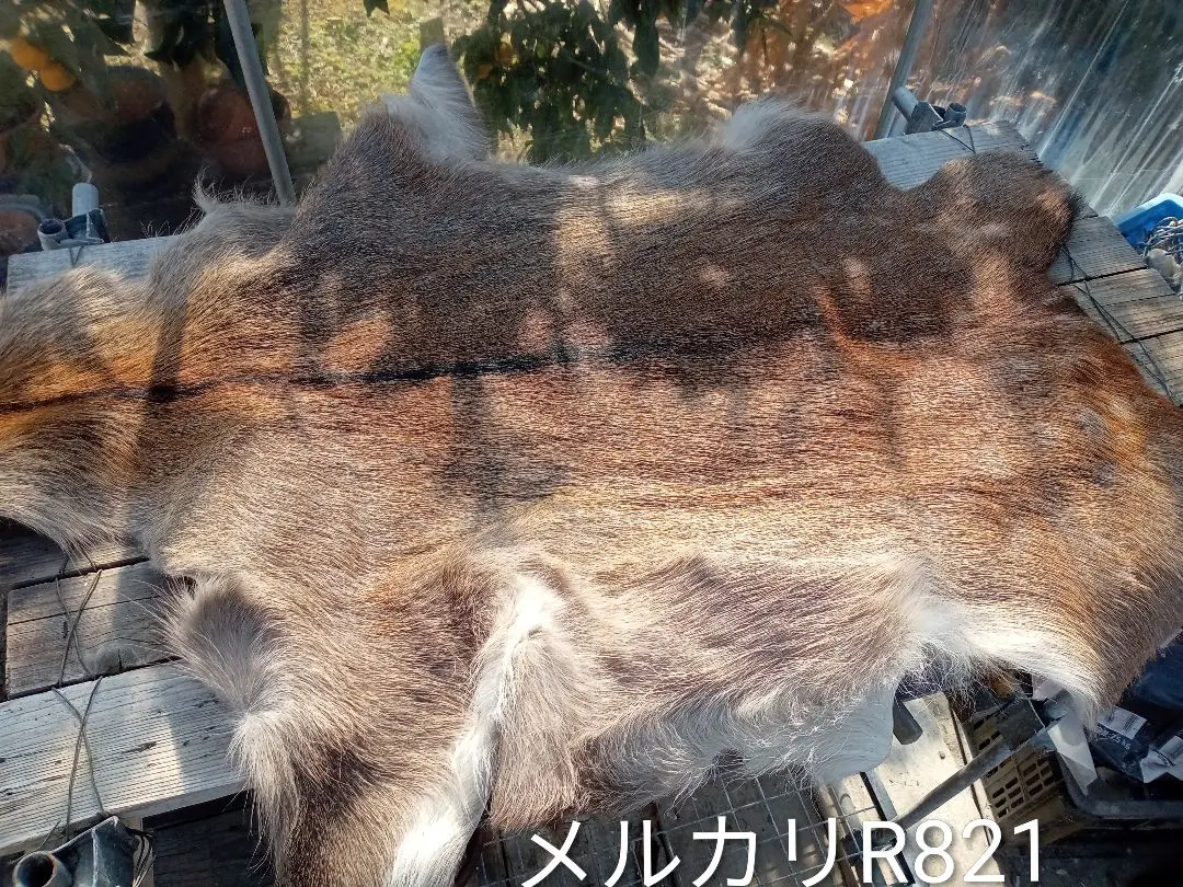 2026年最新】鹿毛皮の人気アイテム - メルカリ