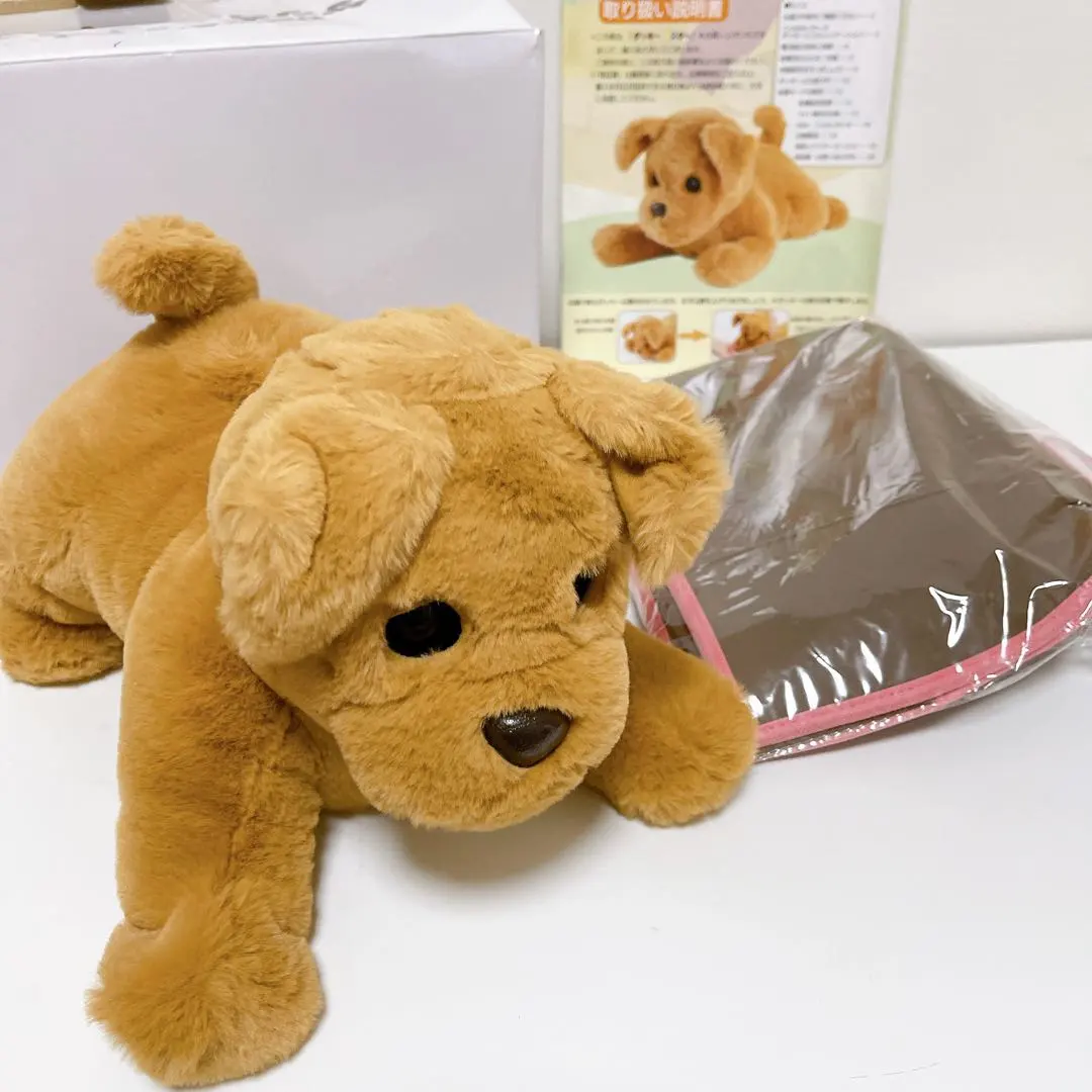 2026年最新】ダッキースターの人気アイテム - メルカリ