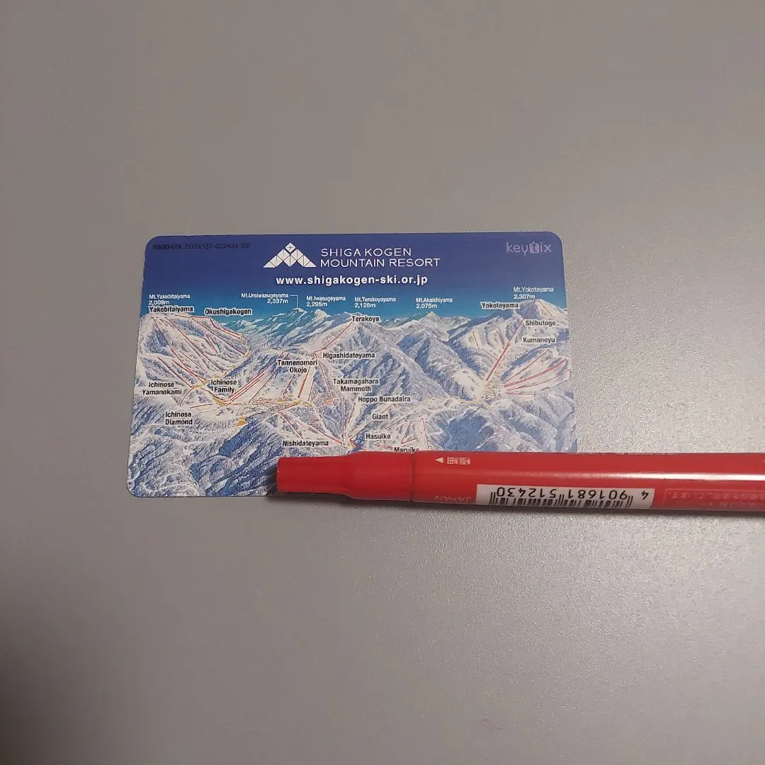 2026年最新】奥志賀高原 リフト券の人気アイテム - メルカリ