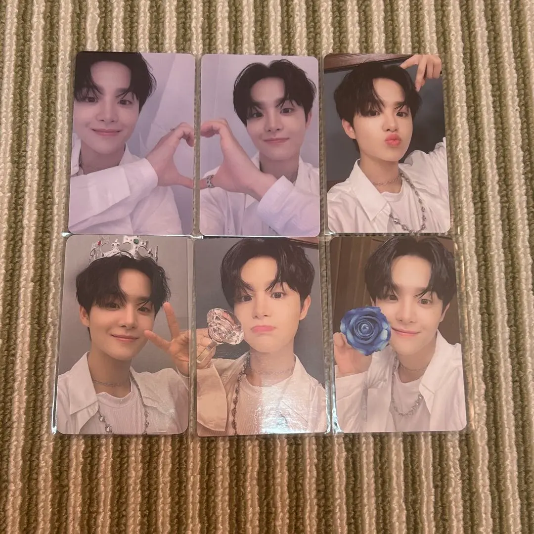 2026年最新】ナイトガーデン ラキドロの人気アイテム - メルカリ