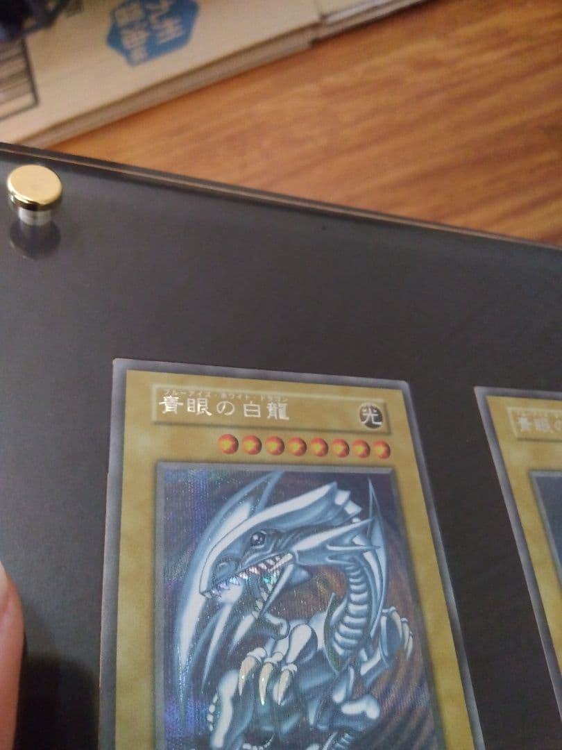 海馬セット　ブルーアイズ 青眼の白龍　シークレット　3枚　25th　シクブル