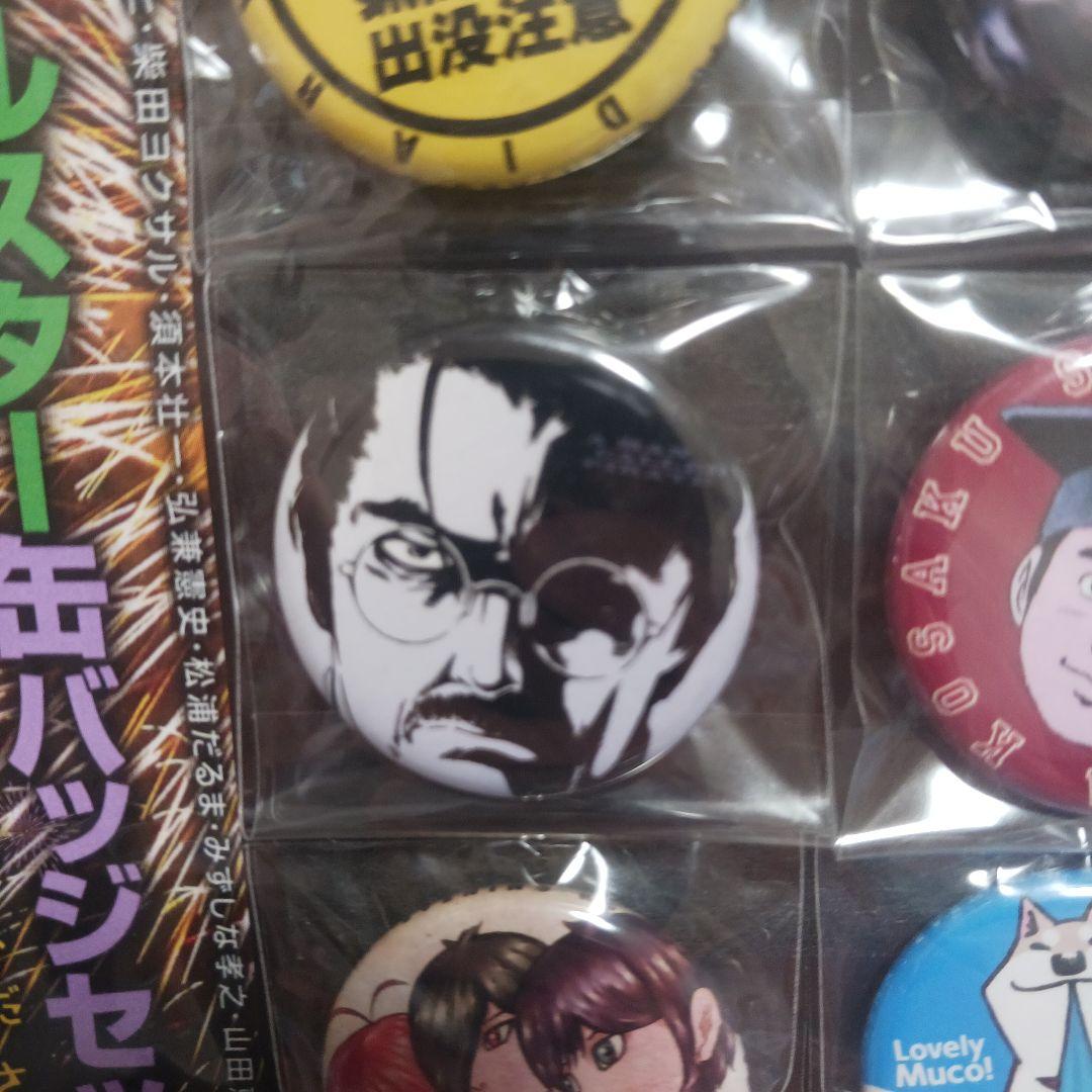 イブニング 夏フェス 2015 抽選 50名 当選品 缶バッジ セット