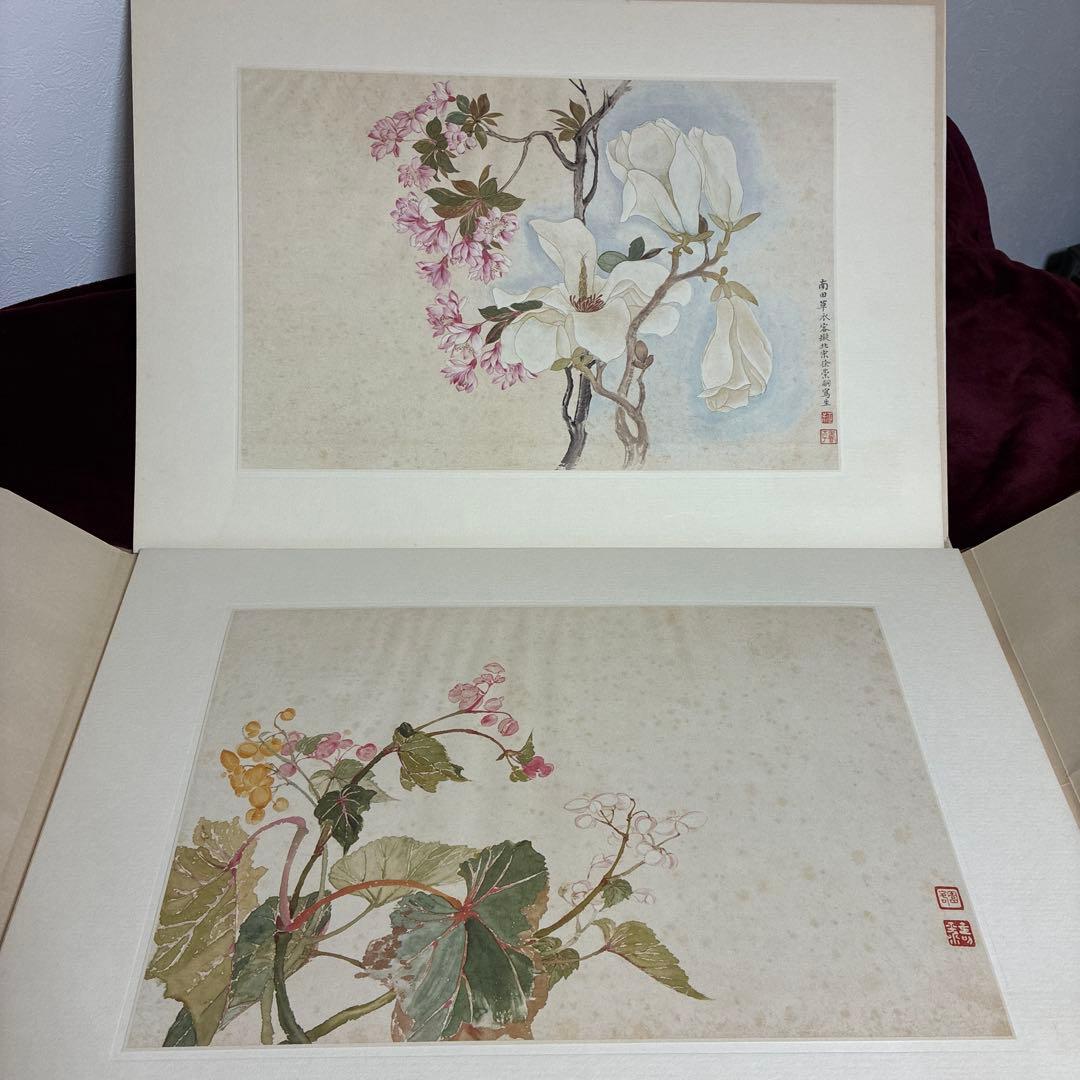 故宮博物院の名蹟 清うん壽平王き花卉山水合冊 二玄社　定価19000円