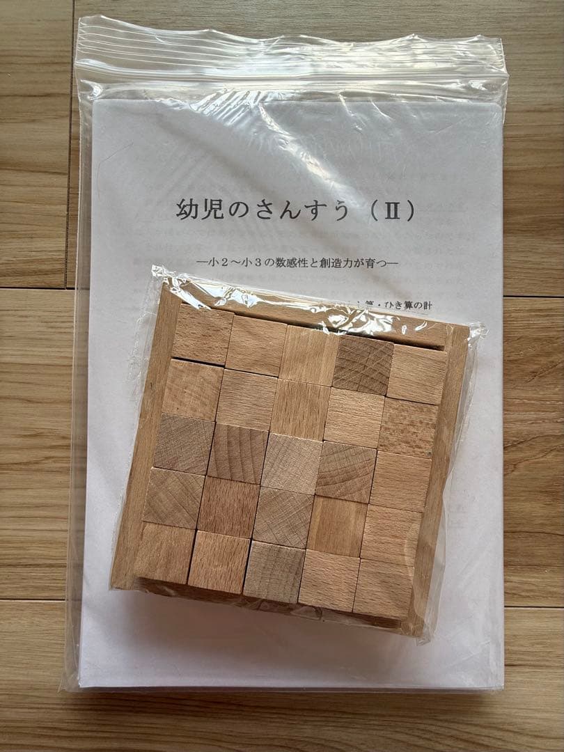 ピグマリオン学育研究所のヌマーカステン ウッディブロック他セット