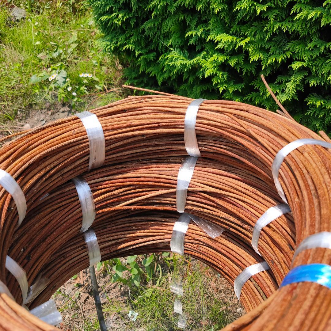 (委託品)青森県岩木山採取　あけび蔓　150cm～　3.2kg