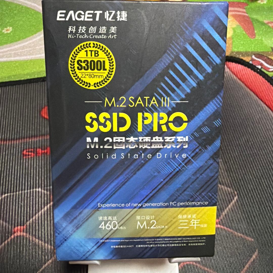 内蔵型SSD EAGET SSD PRO S300L 1TB M.2 SATA EAGET SSD PRO S300L 1TB M.2 SATA